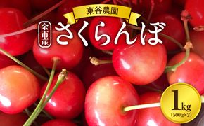 【先行予約：2027年初夏発送】さくらんぼ 毎年大好評！こだわりの東谷農園 余市産 さくらんぼ 1kg_Y037-0347