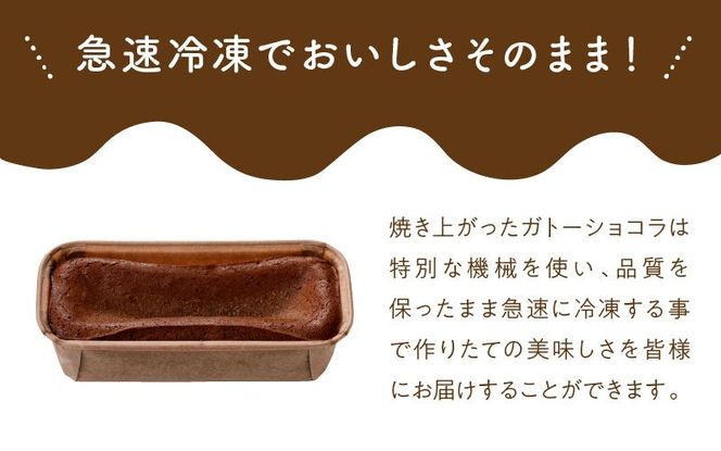 生ガトーショコラ470g冷凍 N0153-YZA149