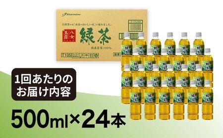 【全6回定期便】八女 玉露入り 緑茶 500ml × 24本 糸島市 / スターナイン お茶 ペットボトル [ARM016] お茶 ペットボトル 500ml 24本 送料無料 緑茶 国産 常温