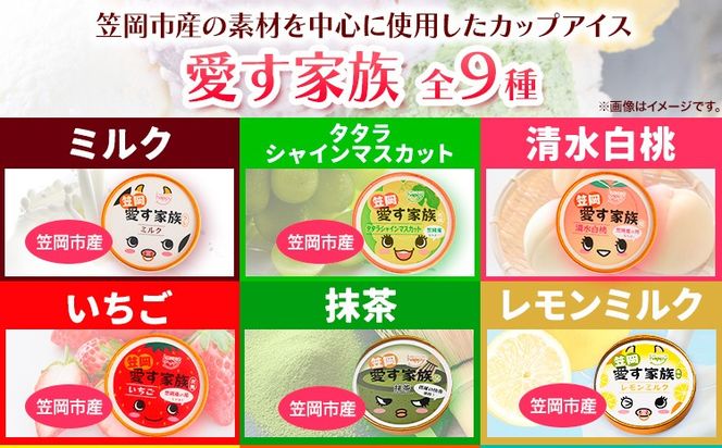 笠岡ジェラート工房ハッピーのスペシャルセット（ 果物 、 ひまわりの種 ）15個セット 《45日以内に出荷予定(土日祝除く)》 ジェラート アイス ミルク ヒマワリの種 果物 笠岡ジェラート工房ハッピーのカップアイス15個---H-20a---