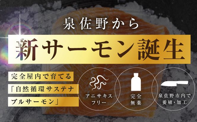 G5602-2 シャインサーモン 380g以上【国産 小分け さーもん 鮭 さけ シャケ しゃけ 冷凍 サイズ不揃い 訳あり】