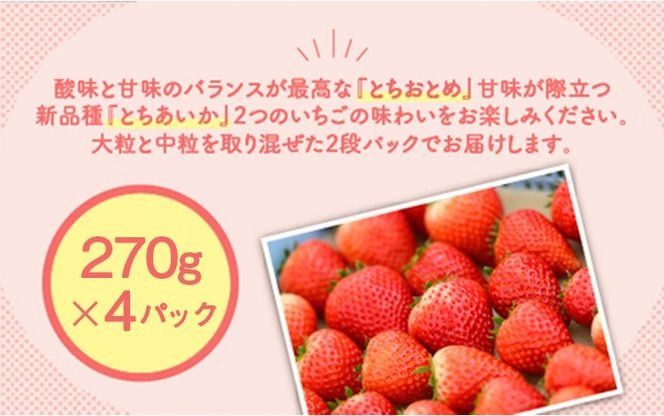 新旧2種食べ比べセット（とちおとめ、とちあいか）270g×4パック