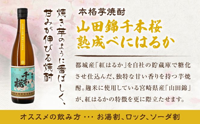 【柳田酒造】山田錦千本桜・母智丘千本桜(25度)720ml×2本 ≪みやこんじょ特急便≫_AA-0751_99