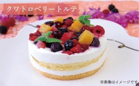 ベイクドチーズ / マロンモンブラン / クワトロベリートルテ ケーキ 3種17個 冷凍 糸島市 / 五洋食品産業 [AQD024]