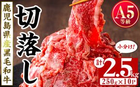 【小分け】＜A5等級＞鹿児島県産黒毛和牛 切り落とし(250g×10P・計2.5kg) c0-121