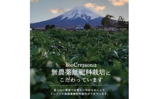 富士吉田市のクレソンペーストセット　クレソン 300g ペースト 2本セット 野菜 サラダ 食品添加物不使用 山梨 富士吉田