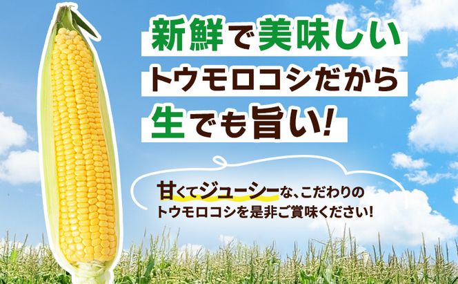 とうもろこし 味来 家庭用 10本 訳アリ トウモロコシ 宮城県産 甘い 夏 朝採れ 訳あり 産地直送 宮城県 大河原町