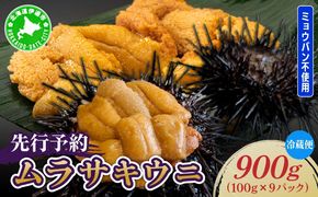 ＜先行予約＞ 北海道産 ムラサキウニ（正規品）900g【ogm-038】生うに 塩水うに ミョウバン不使用 海鮮 国産 北海道 伊達 ふるさと納税