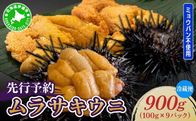 先行予約＞ 北海道産 ムラサキウニ（正規品）900g【ogm-038】生うに