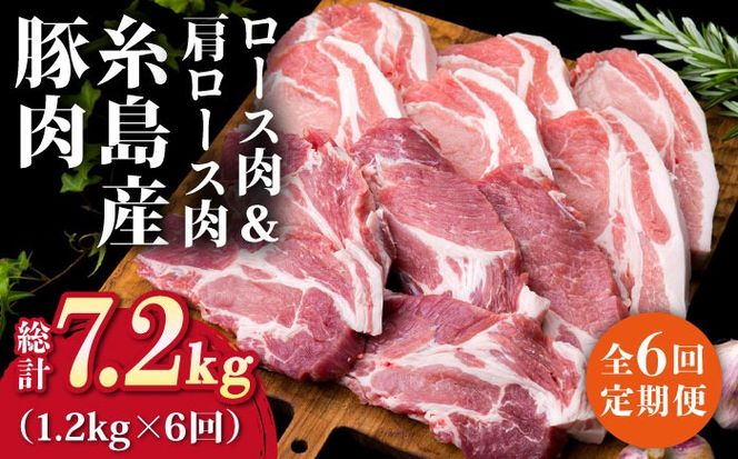 【全6回定期便】糸島産豚ロース肉6枚 肩ロースカツ5枚 合計11枚セット《糸島》【糸島ミートデリ工房】 [ACA230]
