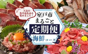 【定期便 12回】室戸まるごと定期便 海鮮コース 海鮮 魚介 かつお 本マグロ ネギトロ 伊勢海老 鰹 かつおのたたき マグロ 鮪 イセエビ 魚介類 海の幸 海鮮定期便 高知県 室戸市