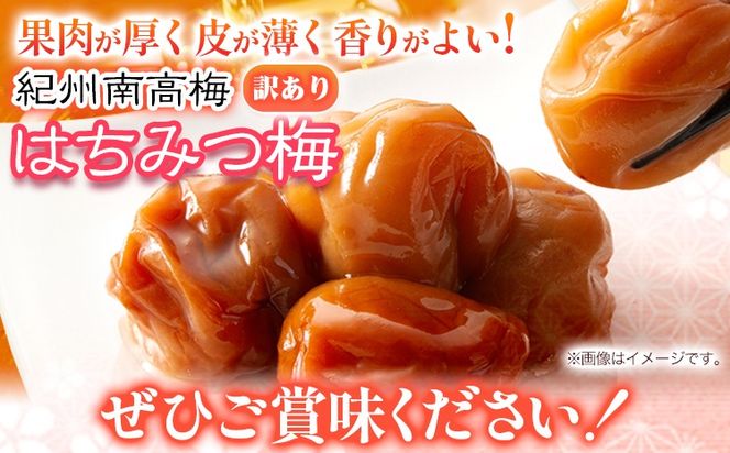 南高梅 はちみつ 梅 わけあり 紀州南高梅 はちみつ梅 1kg または 2.6kg 有限会社プラム《30日以内に出荷予定(土日祝除く)》和歌山県 日高町 送料無料 梅 うめ ウメ 南高梅 蜂蜜 紀州 訳あり 送料無料---wsh_plm9_30d_25_10000_1kg---