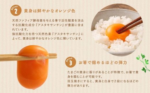 【食べチョクアワード2025 畜産部門 1位の日本一のたまご】単なる平飼いではない究極の卵『わたしたちのぷらいどたまご』3パック（30個）セット