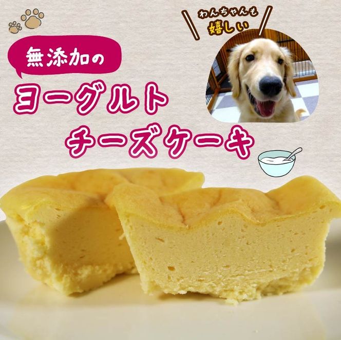 愛犬用 ワッフル 2枚 ヨーグルト チーズケーキ 1個 セット ケーキ ペット おやつ 愛犬 わんちゃん 犬用 ワンちゃん 犬 無添加 スイーツ 静岡 藤枝
