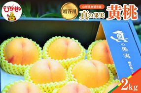 【2026年産】真の果実 贈答用 黄桃2kg 松栗提供 山形県 東根市 hi062-060