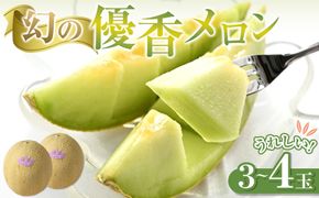 786.【先行予約】幻の「優香メロン」うれしい！3~4玉入 　※2026年６月下旬より順次発送予定 313726_AS011