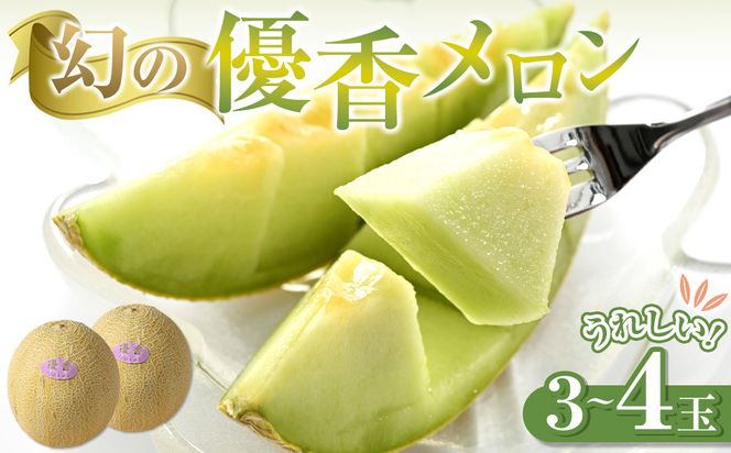 786.【先行予約】幻の「優香メロン」うれしい！3~4玉入 　※2026年６月下旬より順次発送予定 313726_AS011