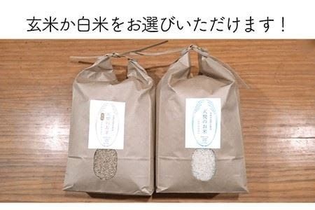 【新米受付中】令和6年産 糸島産 ミルキークイーン 5kg 自然栽培 【2024年10月下旬以降順次発送】《糸島》【大石ファーム】 [ATE014]