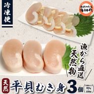 愛知県産平貝(タイラギ)3個