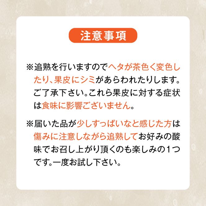 MK1009_不知火 (しらぬい) 秀品 玉ぞろい 箱込 7.5kg (内容量約6.8kg) 