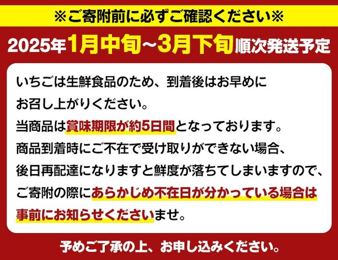 ＜先行予約受付中！2025年1月中旬以降順次発送予定＞鹿児島県産いちご(さがほのか「秀大」・計約1.4kg・40粒×2箱) 鹿児島 阿久根 果物 フルーツ イチゴ いちご 苺 さがほのか デザート おやつ 期間限定【鹿児島いずみ農業協同組合】a-16-57-z