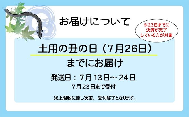 【訳あり】さかい河岸水産 国産 うなぎ 3尾 330g以上！ ※サイズ不揃い うなぎ蒲焼 国産 人気 鰻 うなぎ 3尾 K1804