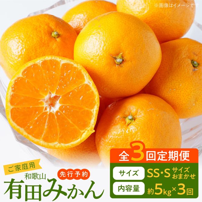 【3回定期便】【2026年先行予約】【ご家庭用】旨味凝縮有田みかん 約5kg（SS・Sサイズ）【湯浅町】_AT60-T01