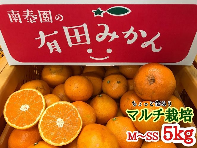 定期便 先行受付 2025年 10月発送スタート 有田みかん 食べくらべ 3種 ちょっと傷あり 5kg × 3回 コース 南泰園 BS816