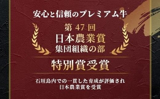 石垣牛 ハンバーグ セット (100g×10個)＜2026年8月発送＞【国産 石垣牛100% 沖縄 石垣島産 高級 黒毛和牛 ビーフ ハンバーグセット 】A-006_08