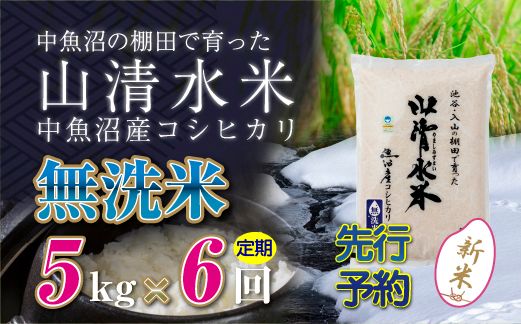 【令和8年産 先行予約】【定期便／全6回】無洗米5kg 新潟県魚沼産コシヒカリ「山清水米」