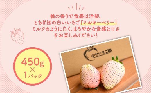 【先行予約】いちご ミルキーベリーセット 450g×1パック ※2026年1月中旬～4月中旬頃に順次発送予定