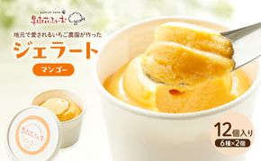 ジェラート マンゴー 12個 アイス アイスクリーム スイーツ お菓子 菓子 おやつ 兵庫県 加西市