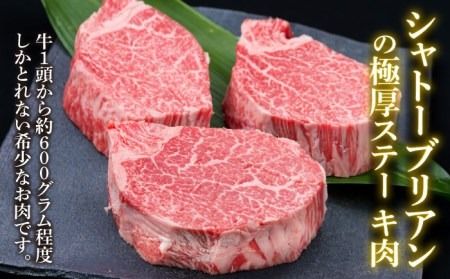 【極厚シャトーブリアン】約200g×3枚 博多和牛 A4ランク 和牛 ヒレ《糸島》【糸島ミートデリ工房】 [ACA172] ヒレステーキ ステーキ ヒレ フィレ 牛肉 赤身 国産 肉 和牛  黒毛和牛