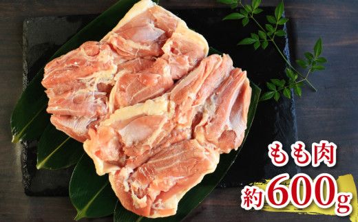 地鶏 愛媛 媛っこ地鶏 1羽セット 約2.5kg 鶏肉 鳥肉 肉 チキン むね肉 もも肉 ささみ レバー せせり ハツ 砂肝 焼肉 焼き鳥  BBQ 冷凍 国産 高級 タンパク質 低脂肪 糖質 唐揚げ チキン南蛮 サラダチキン スープ 出汁 モツ煮 ダイエット 愛南町 送料無料 ローカルスタンダード