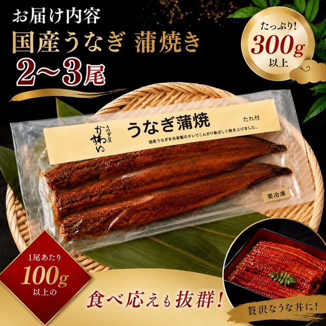 国産うなぎ  蒲焼き 2～3尾セット(合計300g) タレ付き 国産 うなぎ ウナギ 鰻 蒲焼 かば焼き セット 惣菜 冷凍 土用