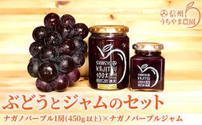 【ぶどうとジャムのセット】ナガノパープル1房(450ｇ以上)×ナガノパープルジャム 2本 (400g×1本、190ｇ×1本)《信州うちやま農園》■2025年発送■※8月中旬頃～10月中旬頃まで順次発送予定