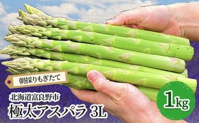【2026年春発送】極太 グリーンアスパラ 3Lサイズ 1kg (スイートベジタブルファクトリー)
