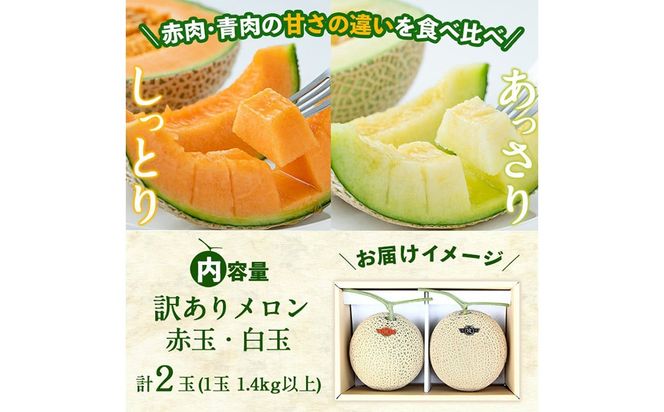 【春限定・数量限定】牧さんの訳ありメロン 赤玉・白玉 計2玉(赤肉・青肉 各1玉) b0-104-s