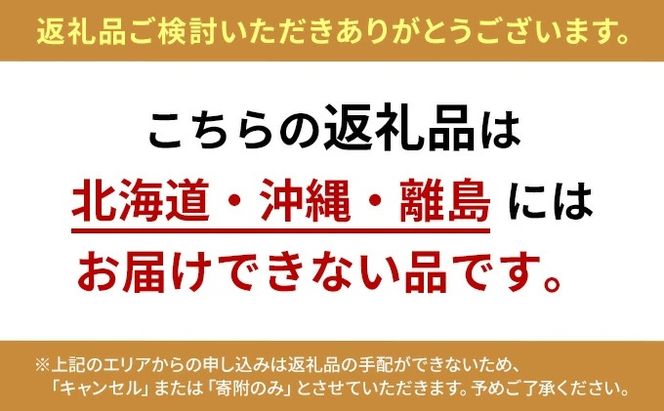 いちご　4パック 兵庫県 加西市 果物類 苺 イチゴ 果物詰合せ フルーツ
