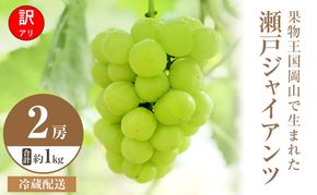 【2026年 先行予約】【訳あり品】 瀬戸ジャイアンツ 2房 合計約1kg 冷蔵配送 ぶどう 葡萄 フルーツ 果物 岡山 岡山のぶどう 食後 デザート 産地直送 皮ごと 酸味が少ない 爽やか 甘い 