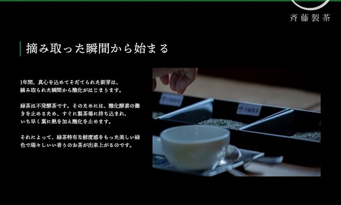 お茶農家の愛情たっぷり さしま茶バラエティーセット5種 S284