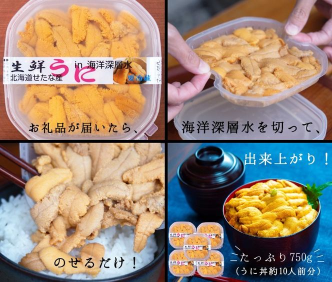 【2025年6月中旬から順次発送】【北海道せたな町産】生鮮生うに(150g×5パック)