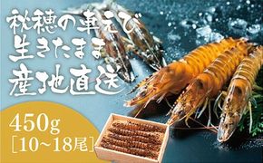 D090 活きあいおえび450g（10～18尾）