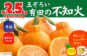 不知火 (しらぬい) 秀品 玉ぞろい 箱込 2.5kg (内容量約2.3kg)  和歌山県産 産地直送 【みかんの会】	AX138