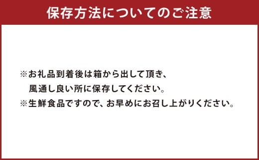 【先行受付】特別栽培不知火 3kg サイズミックス 不知火 しらぬい  柑橘 果物 みかん フルーツ デザート【2026年3月上旬から4月上旬発送予定】