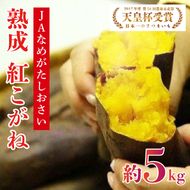 【行方かんしょ】『天皇杯受賞』JA「紅こがね」さつまいも約5kg(AE-106)