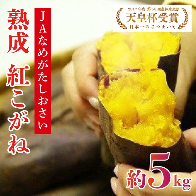 【行方かんしょ】『天皇杯受賞』JA「紅こがね」さつまいも約5kg(AE-106)