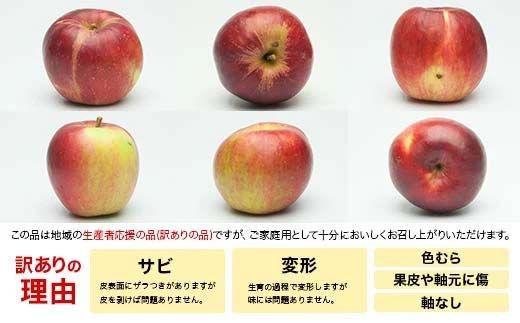 FYN9-967 【農業者支援】ご家庭用 2025年 山形県産 品種おまかせ りんご 赤色系 約10kg 2025年10月上旬から順次発送 果物 くだもの フルーツ 林檎 リンゴ アップル 秋果実 生産者支援 農業者支援 支援品 自宅用 家庭用 訳アリ ワケアリ 山形県 西川町 月山