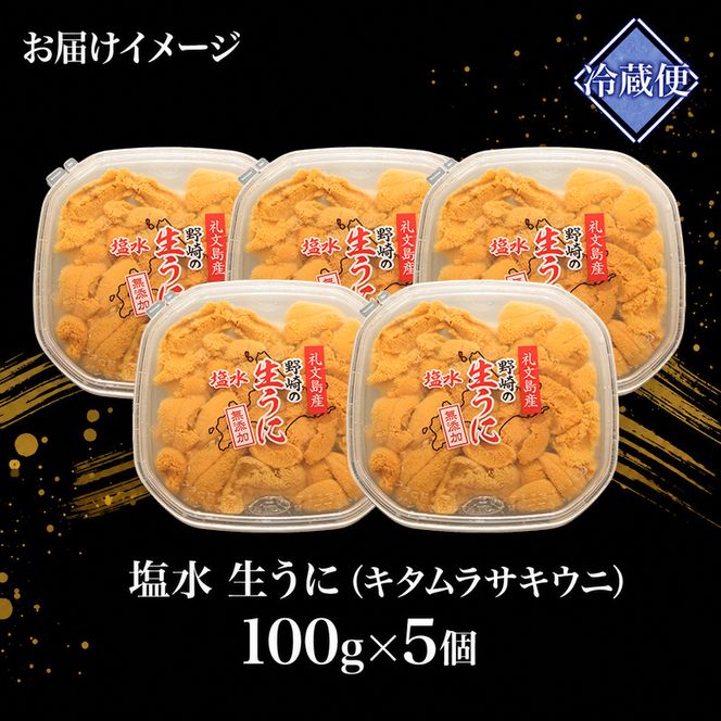 北海道 礼文島産 ミョウバン不使用 塩水ウニ キタムラサキウニ 100g×5パック［野崎水産］【 うに ウニ 雲丹 生うに 塩水うに ムラサキウニ 素材本来の味 海鮮 うに丼 濃厚 甘み 産地直送 】