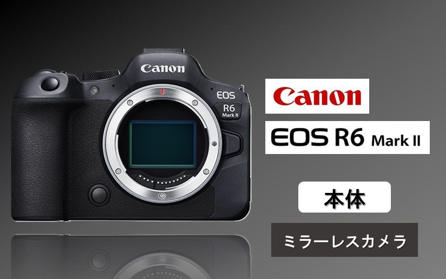 [Canon] キヤノン ミラーレス カメラ EOS R6 MarkⅡ ボディ キャノン 一眼 家電_0036C
